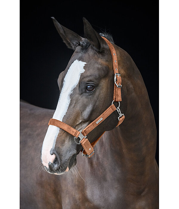 Headcollar Velvet