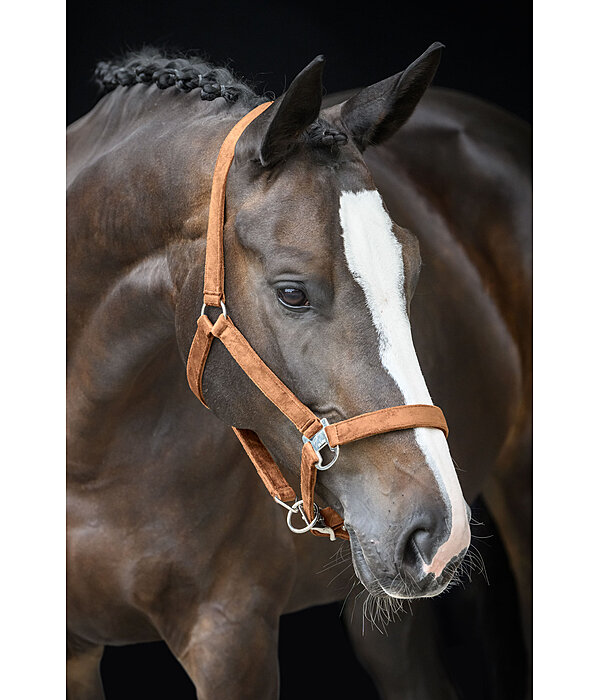 Headcollar Velvet