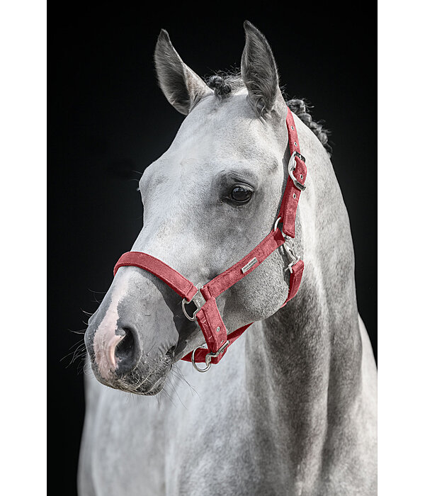 Headcollar Velvet