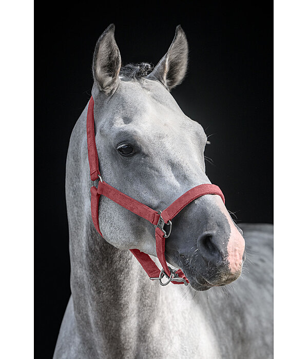 Headcollar Velvet