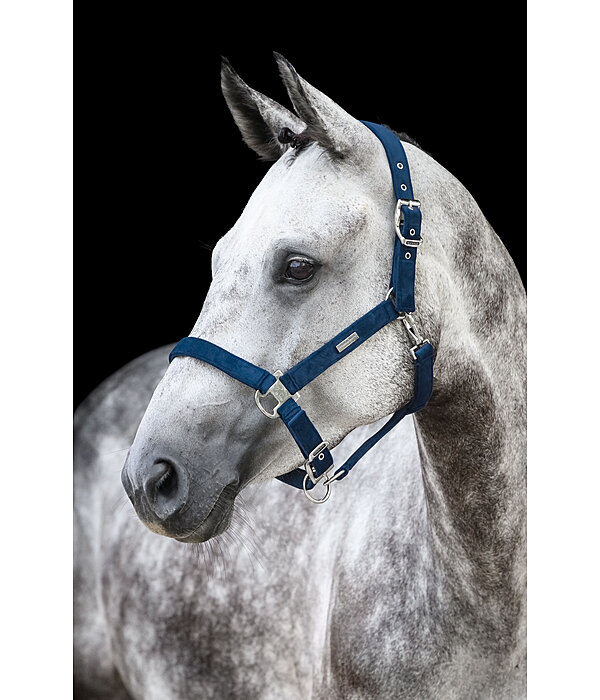 Headcollar Velvet