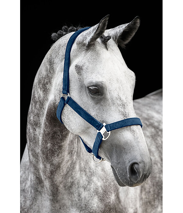 Headcollar Velvet