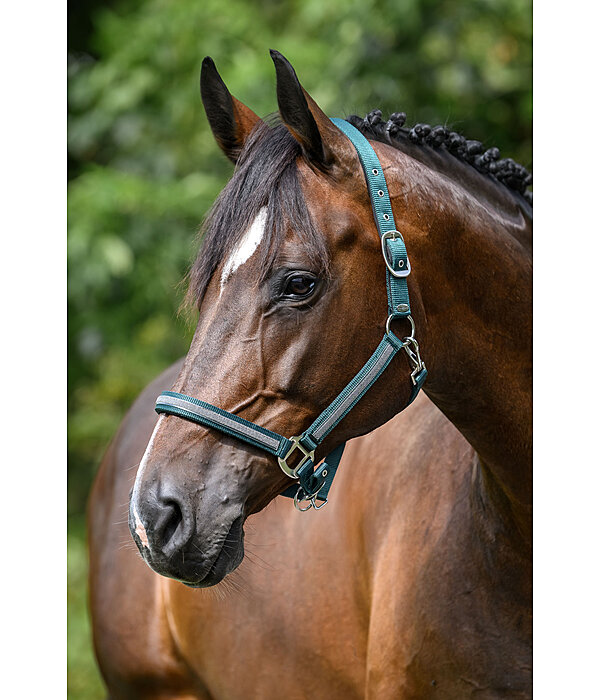 Headcollar Blaire