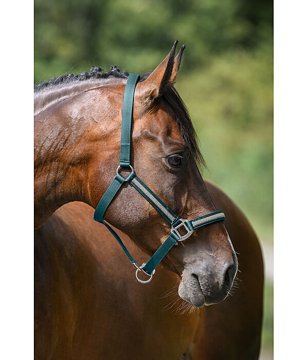 Headcollar Blaire