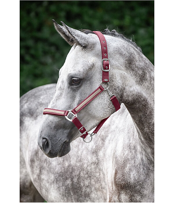 Headcollar Blaire