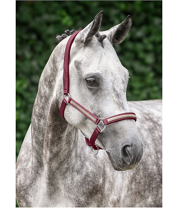 Headcollar Blaire