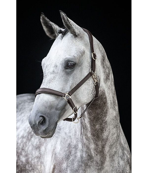 Leather Headcollar Anatomical