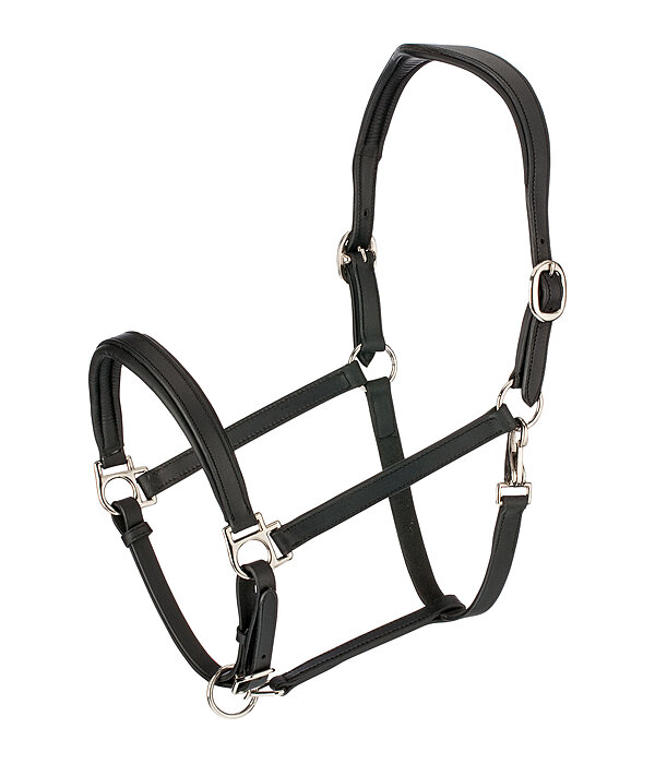 Leather Headcollar Anatomical