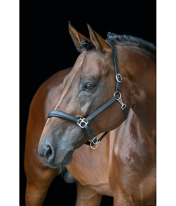 Leather Headcollar Anatomical