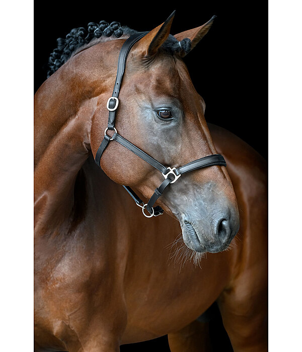 Leather Headcollar Anatomical