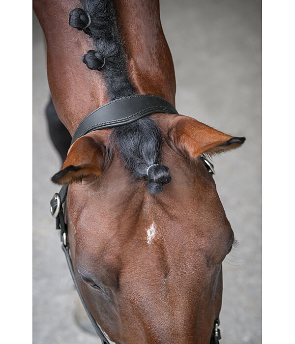 Leather Headcollar Anatomical