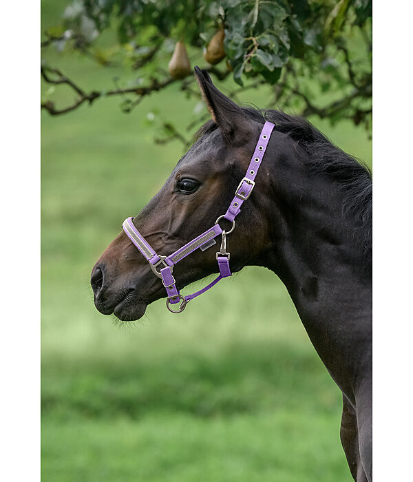 Foal- and Shetland Pony Headcollar Blaire