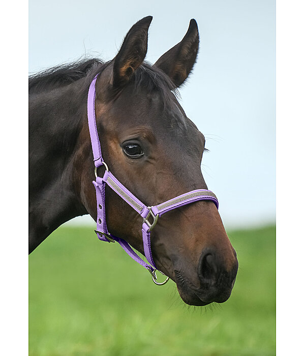 Foal- and Shetland Pony Headcollar Blaire