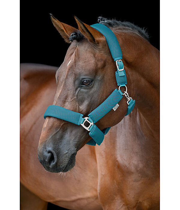 Mesh Headcollar Airflow