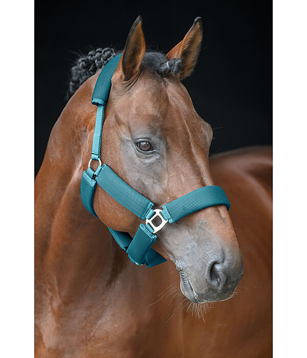 Mesh Headcollar Airflow