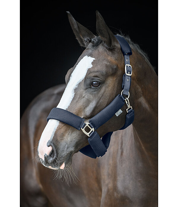 Mesh Headcollar Airflow