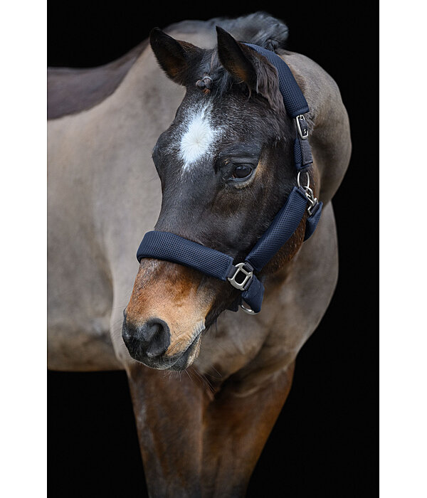 Mesh Headcollar Airflow