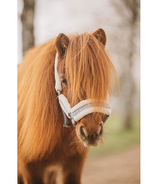 Foal and Shetland Pony Headcollar Shine