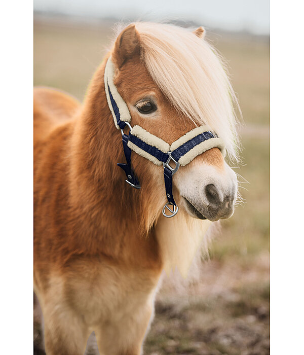 Foal and Shetland Pony Headcollar Shine