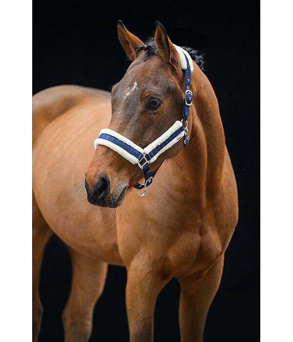 Headcollar Shine