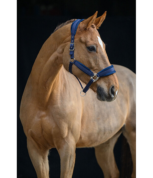 Headcollar Soft Velvet