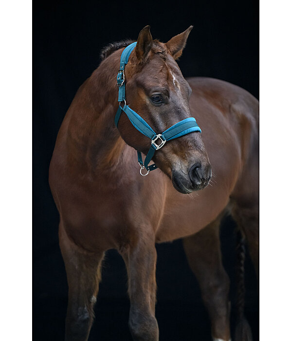 Headcollar Soft Velvet