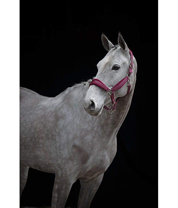 Headcollar Soft Velvet
