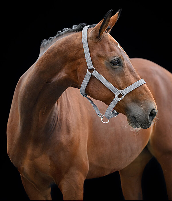 Headcollar Braid