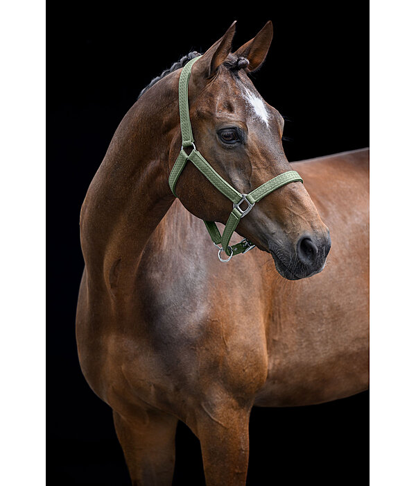 Headcollar Braid