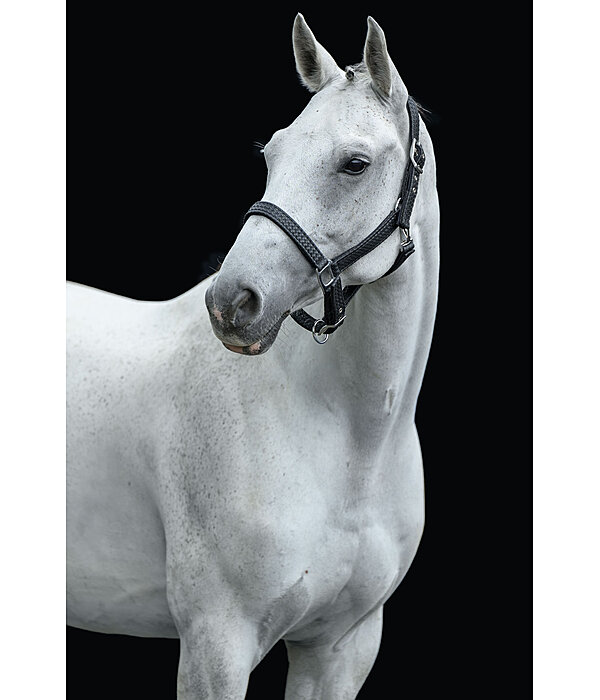 Headcollar Braid