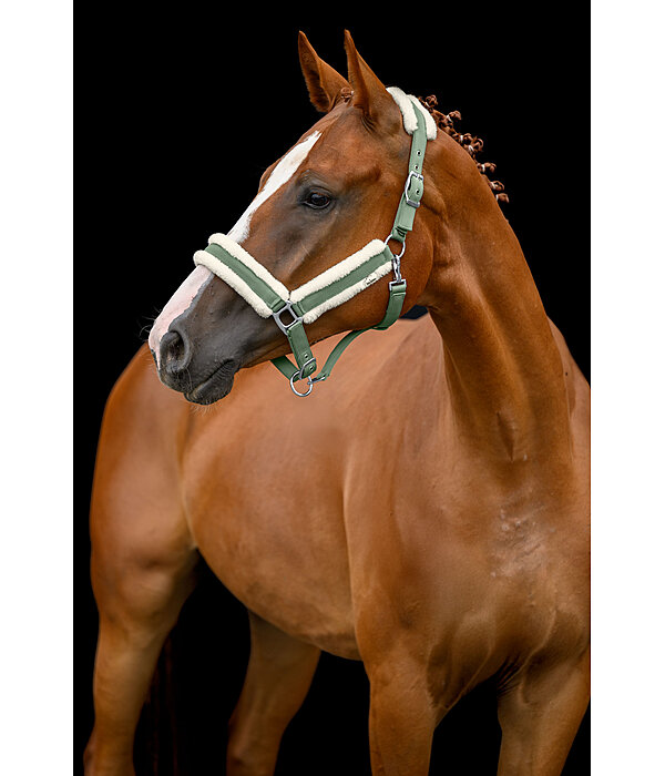 Headcollar Soft