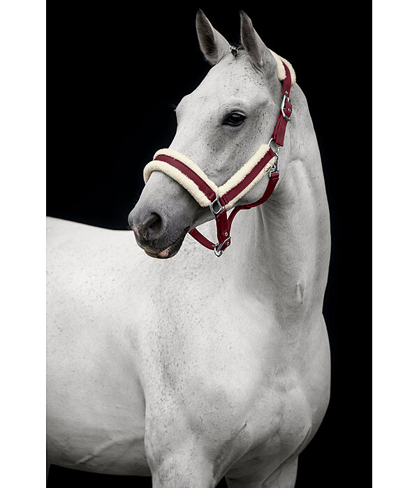Headcollar Soft