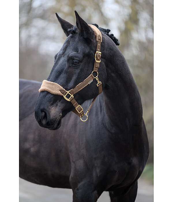 Teddy Fleece Headcollar