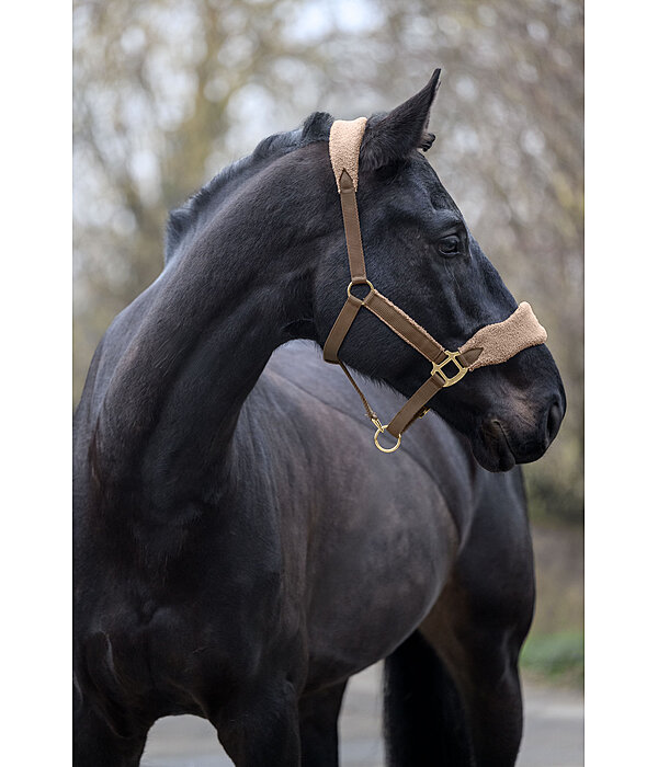 Teddy Fleece Headcollar