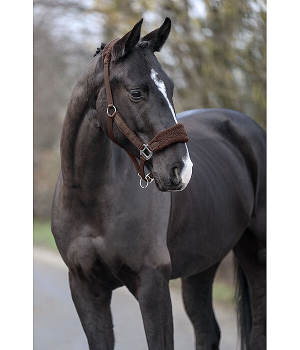 Teddy Fleece Headcollar