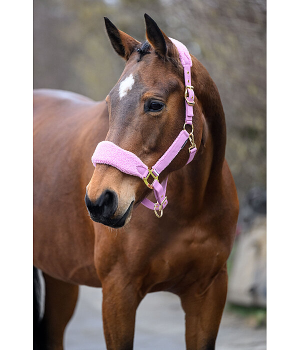 Teddy Fleece Headcollar