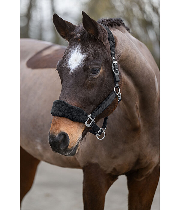 Teddy Fleece Headcollar