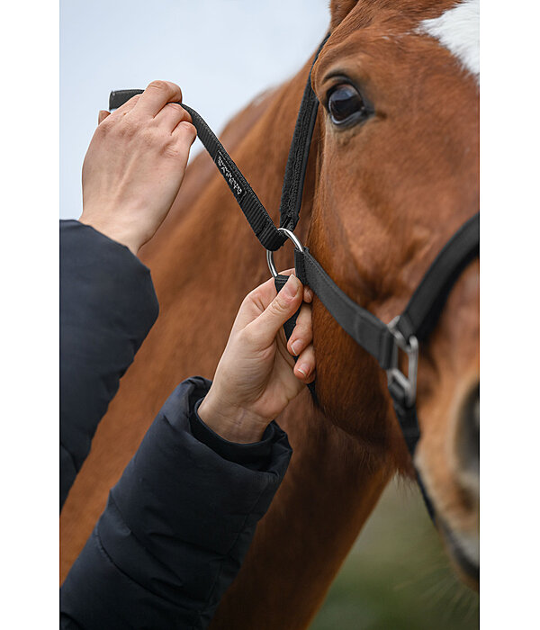 Safety Headcollar