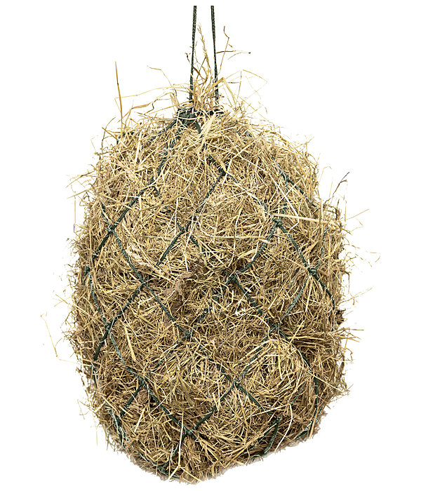 Haynet