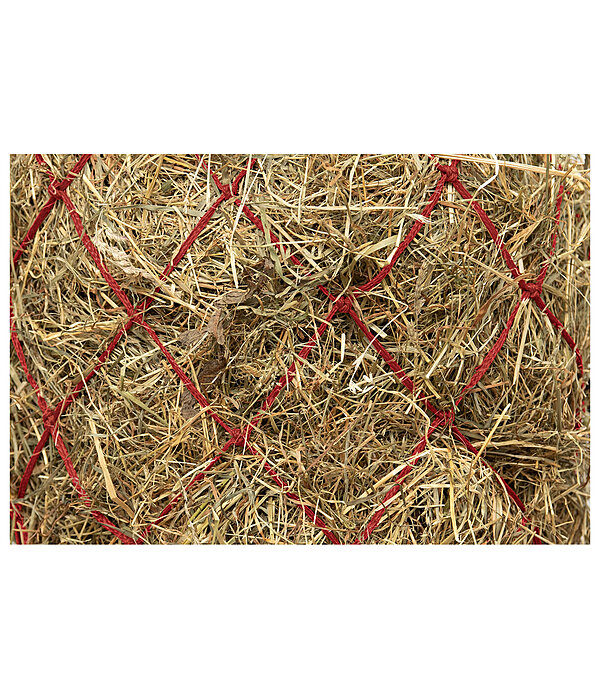 Haynet