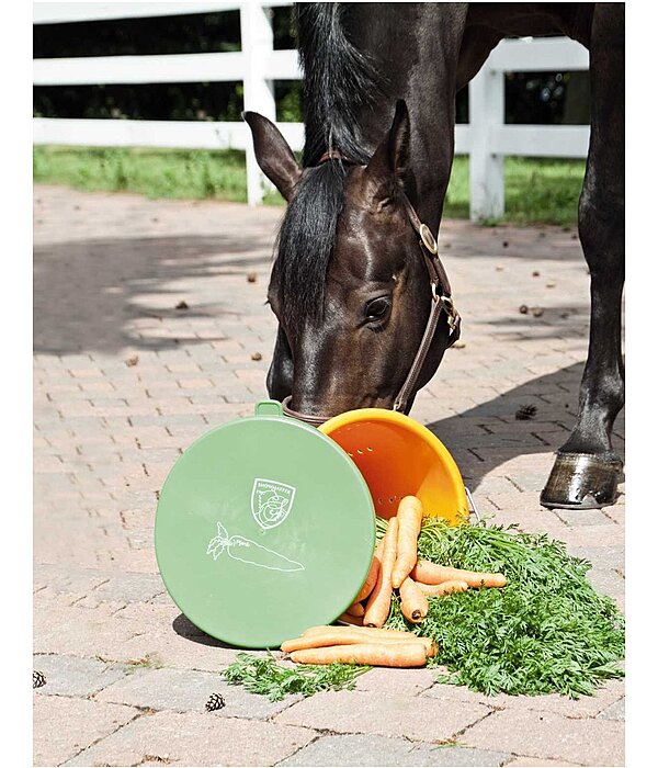 Carrot Bucket Pippa