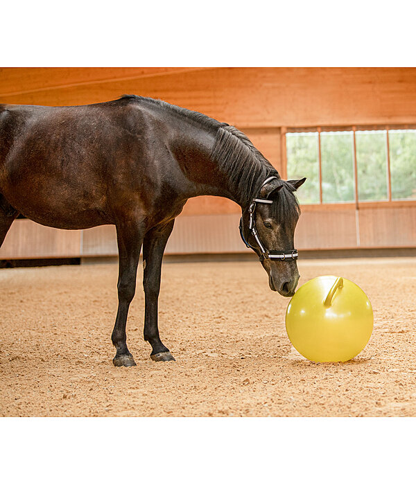 Horse Play Ball