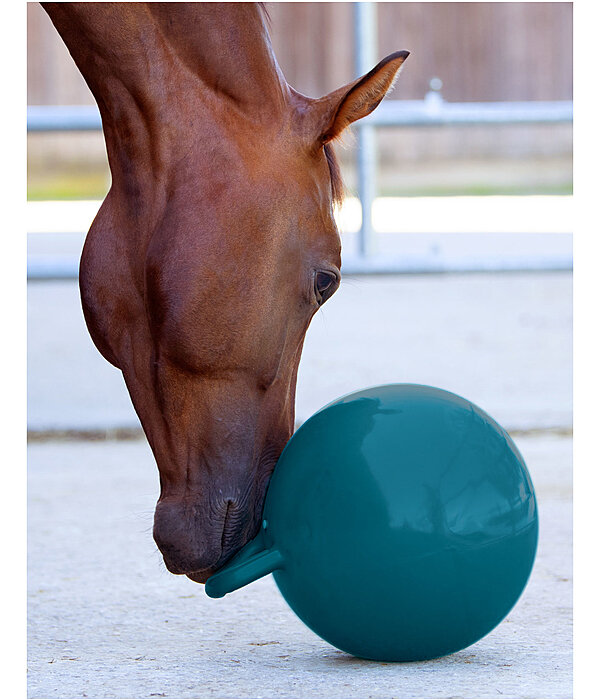 Horse Play Ball
