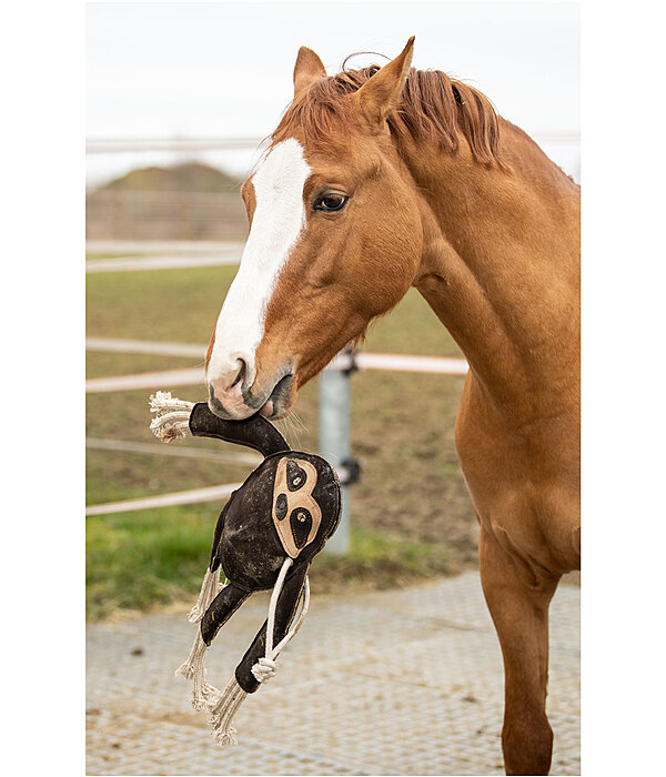 Horse Toy Sloth