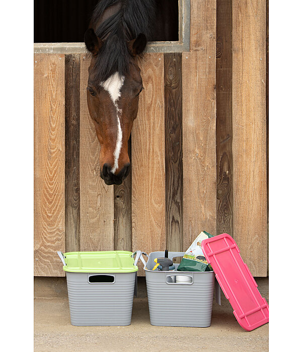 Red Gorilla Stack 'N' Store Storage Box