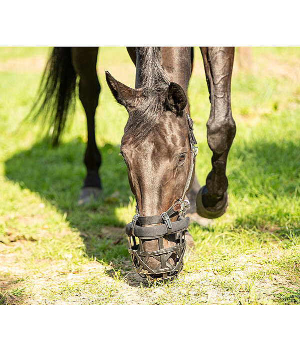 Grazing Muzzle Gently