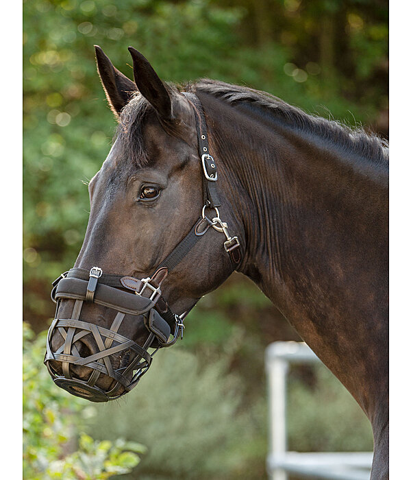 Grazing Muzzle Gently