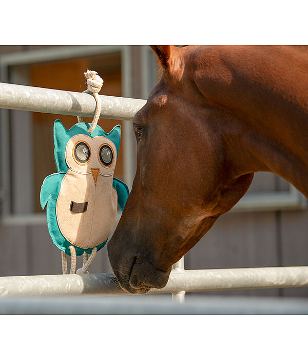 Horse Toy Owl Udo