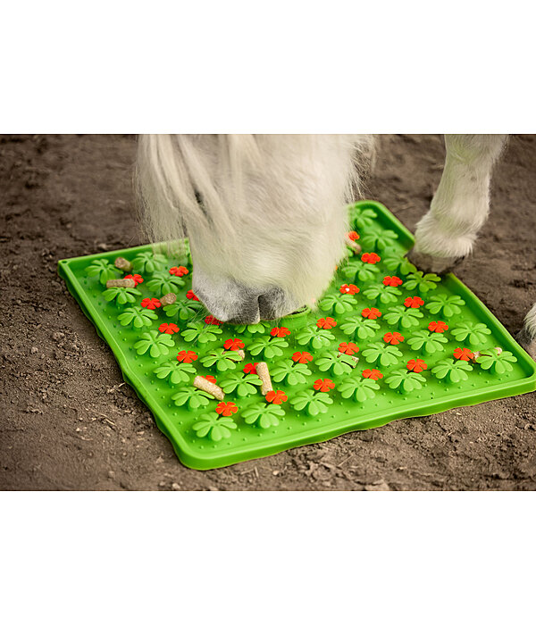 Sniffing Mat Horse