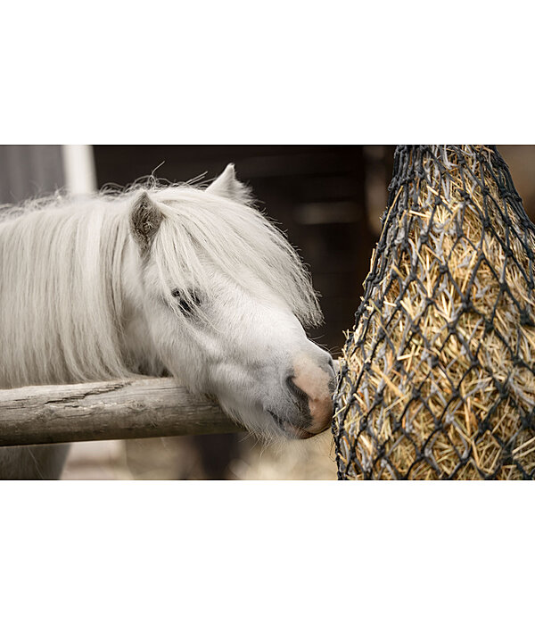Double-Layer Haynet